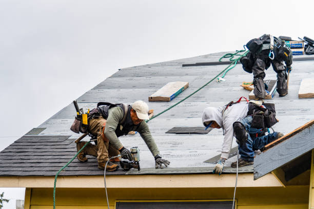Professional Emergency Roof Repair technician working in New Liberty, KY